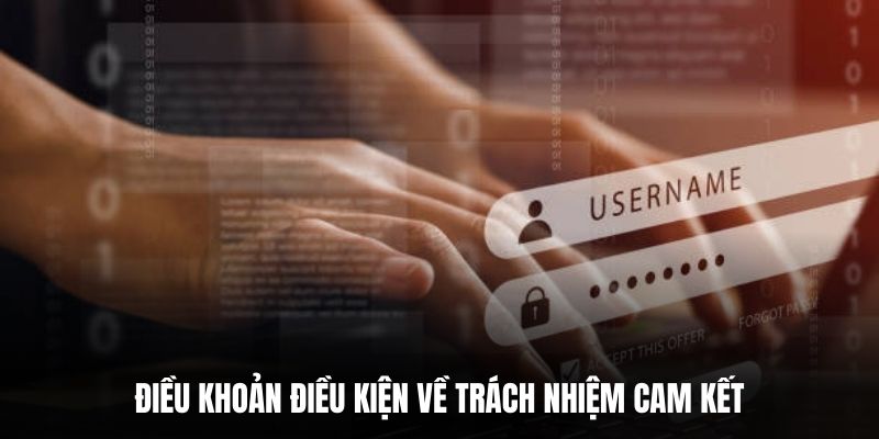 Điều khoản điều kiện về trách nhiệm cam kết.