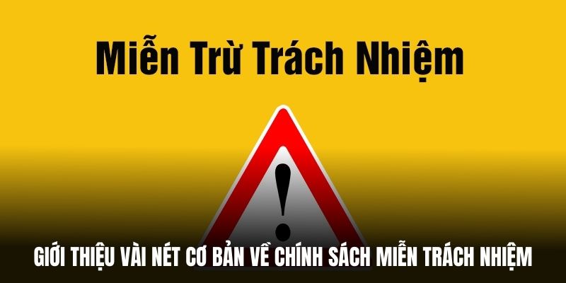 Giới thiệu vài nét cơ bản về chính sách miễn trách nhiệm.